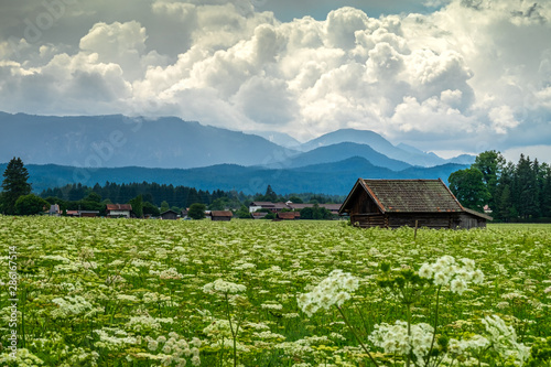 house in the mountains
