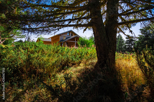 house in the forest