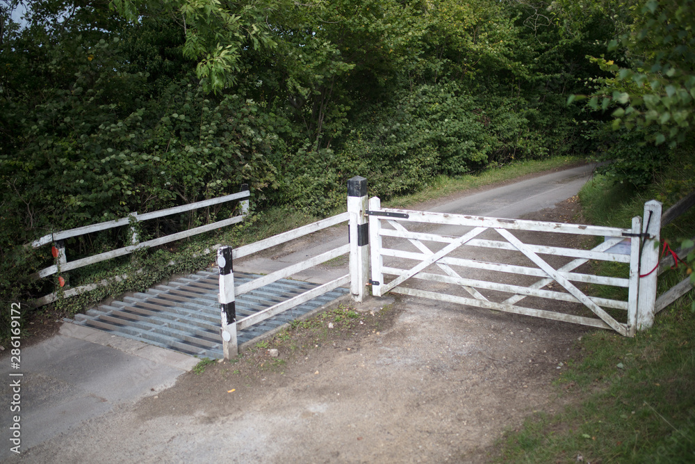 Old white cattle gates