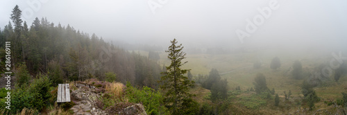 Schwarzwald im Sommer photo