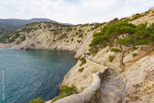 View from Cape Kapchik Blue (Daelemans, Royal) Bay. Golitsyn trail on a cloudy day