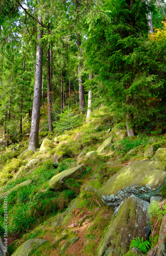 Mummelsee im Schwarzwald bei Achern in Baden-Württemberg Deutschland Europa mit Wasser und Wald am Ufer aufgenommen am 2017.09.29