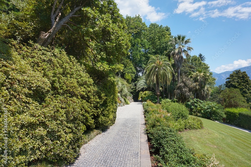 Walkway in the tropical garden.