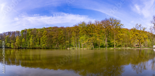 Summer landscape panorama