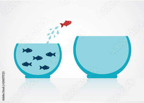 blue fish in a cramped aquarium. One red fish decided to jump into a large aquarium