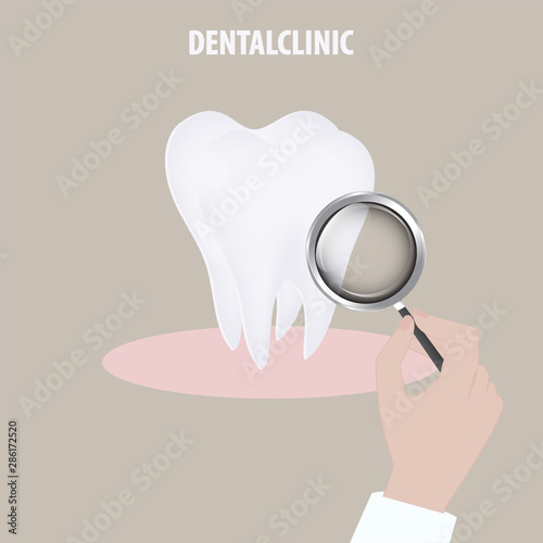 Tooth molar realistic. Doctor's hand with a magnifying glass. - vector. Tooth protection. Dentist icon.
