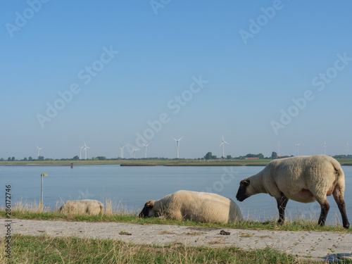 Die Ems und der Fischerort Ditzum photo