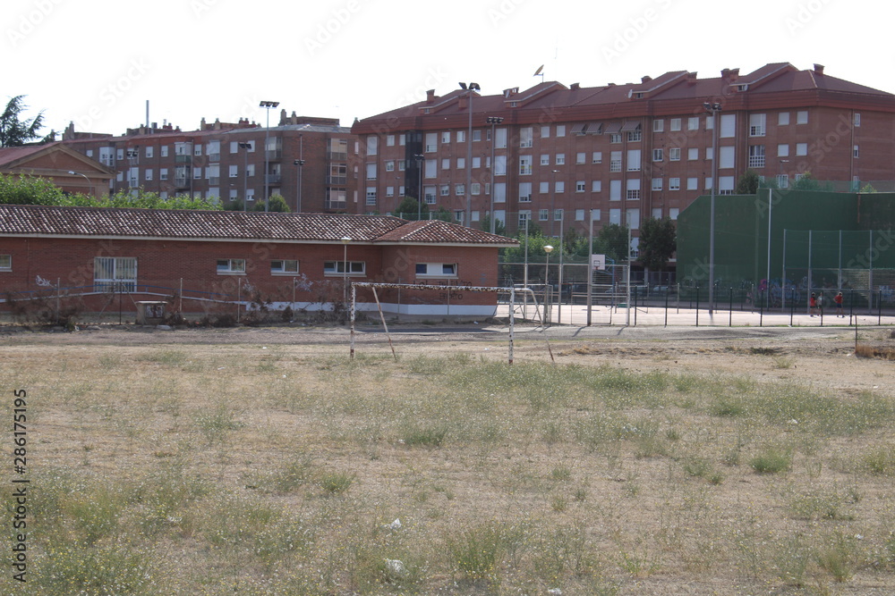 Obraz premium Descampado