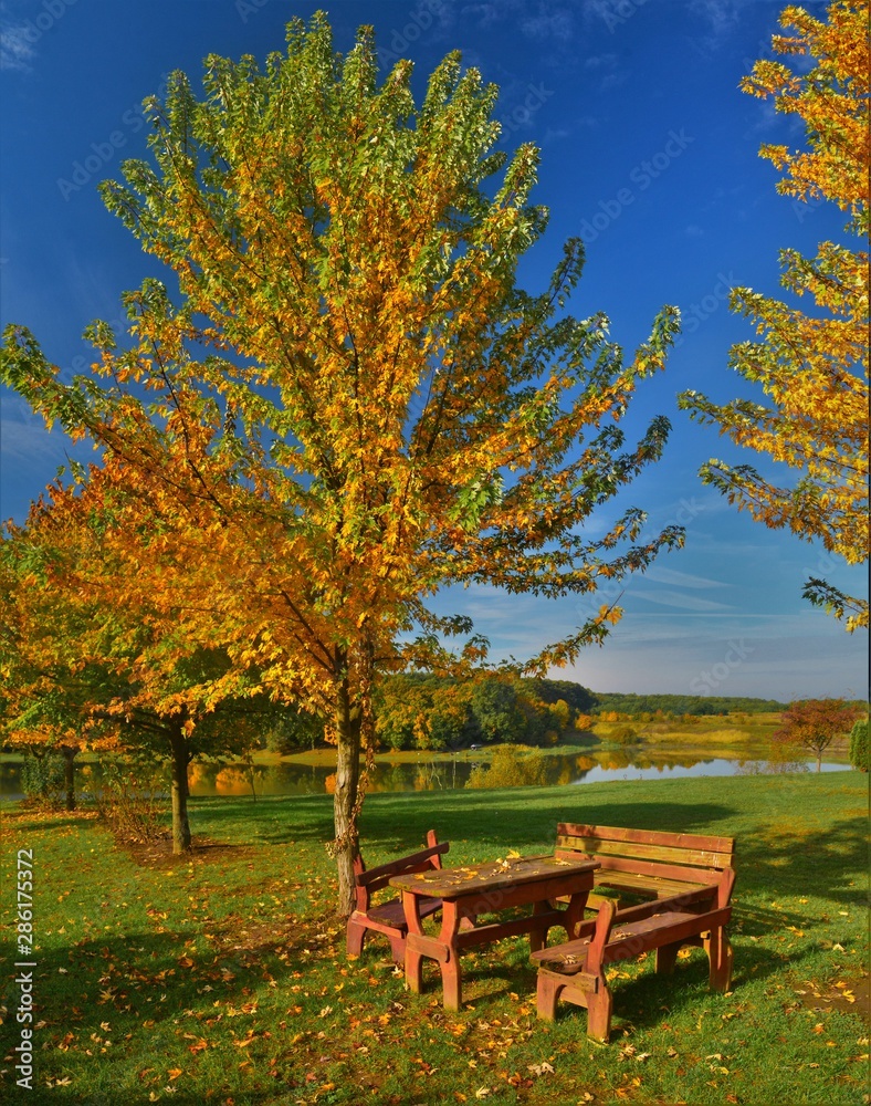 bench in autumn