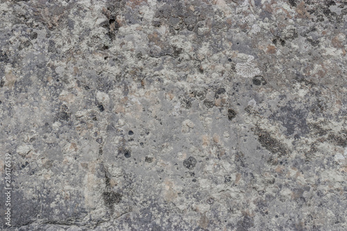 Texture of gray warm stone in the summer in the Altai steppe