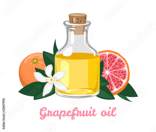 Grapefruit essential oil in glass bottle isolated on white background. Citrus fruits with green leaves and white flower. Vector illustration of aromatic oil in cartoon flat style. Aromatherapy.