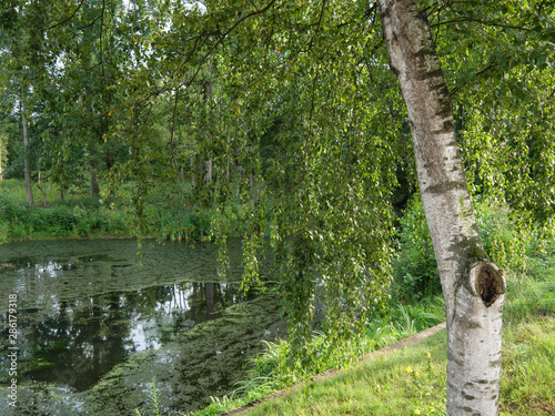 Wassermühle in den Niederlanden photo