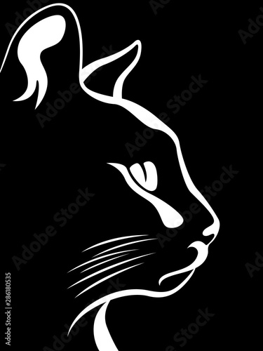 Stencil of a cat's muzzle