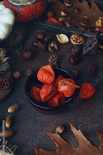 Autumn background with decorative pumpkin, acorns, nuts and autumn leaves on dark stone table