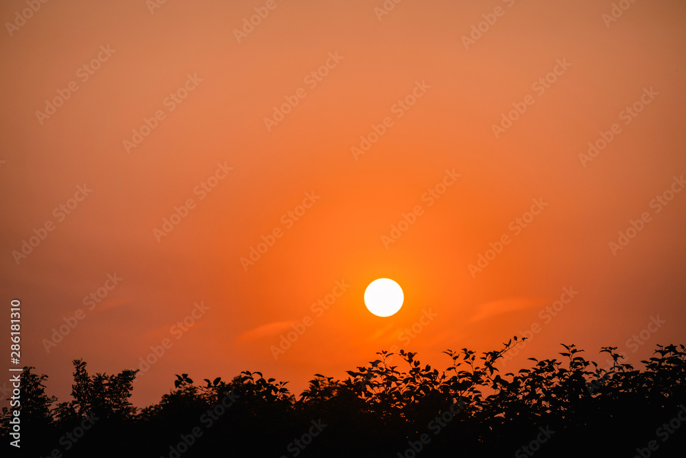 Orange sun at sunset on background of black silhouette of trees and houses.