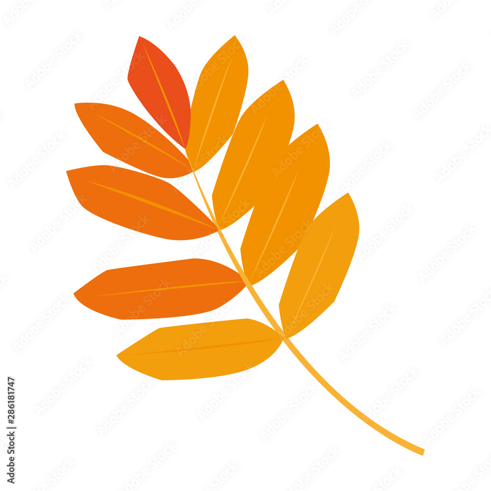 happy autumn season flat design