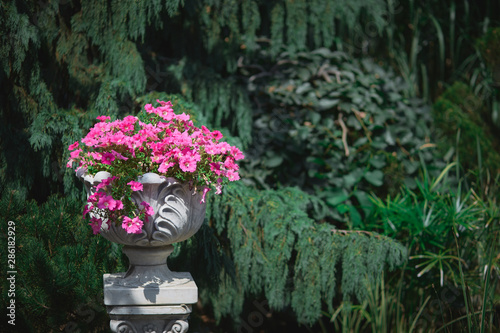 bouquet of pink flowers in a vase in the private garden