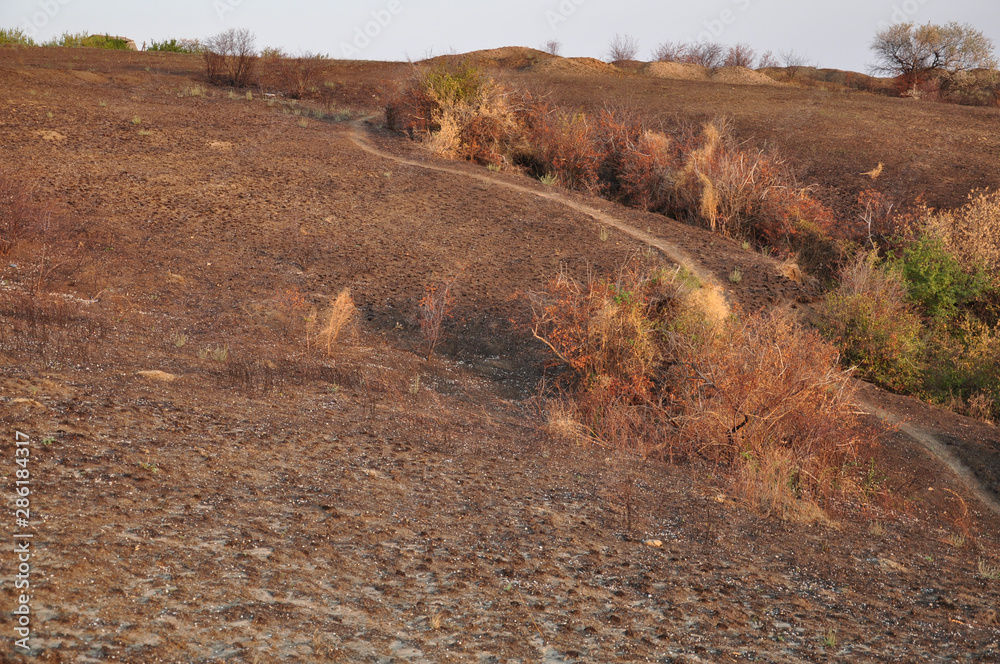 Road in mountains. Autumn hill landscape of burnt ground and curved footpath between colorful bushes. Fall view of countryside in sunset light. Natural seasonal textures of dry grass and brown soil