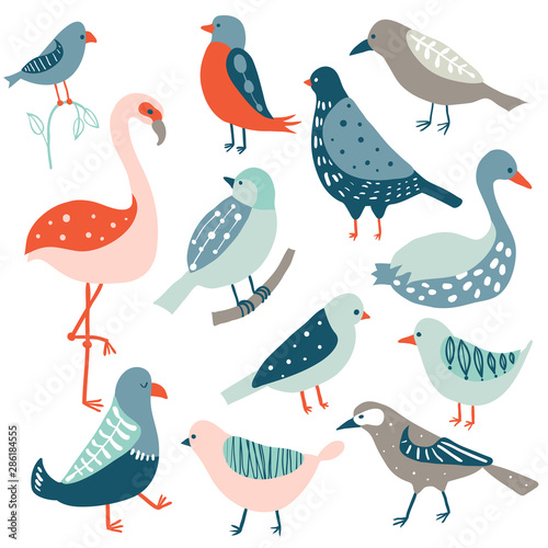 Colorful doodle bird set
