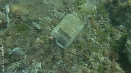  Plastic pollution, a plastic canister on the seabed in Mediterranean Sea, Europe. 