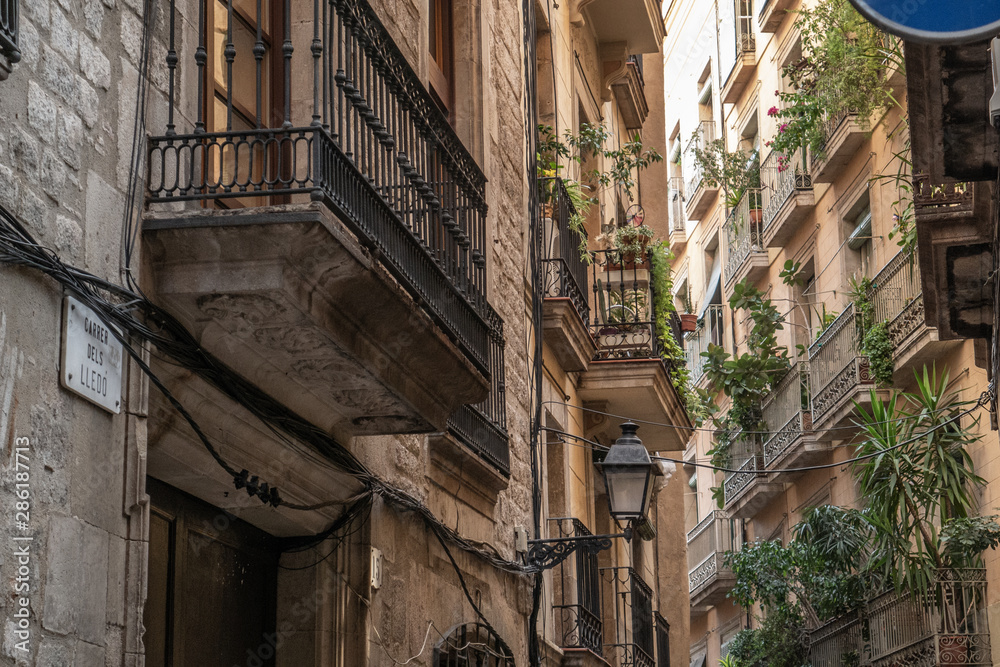 Fototapeta premium barrio gotico barcelona