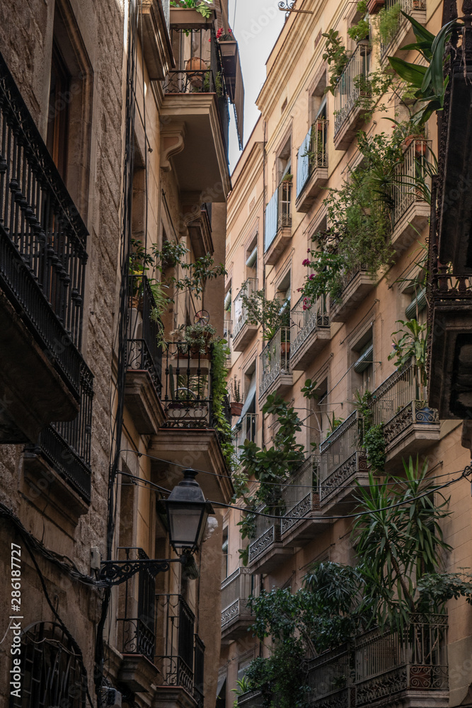 barrio gotico barcelona