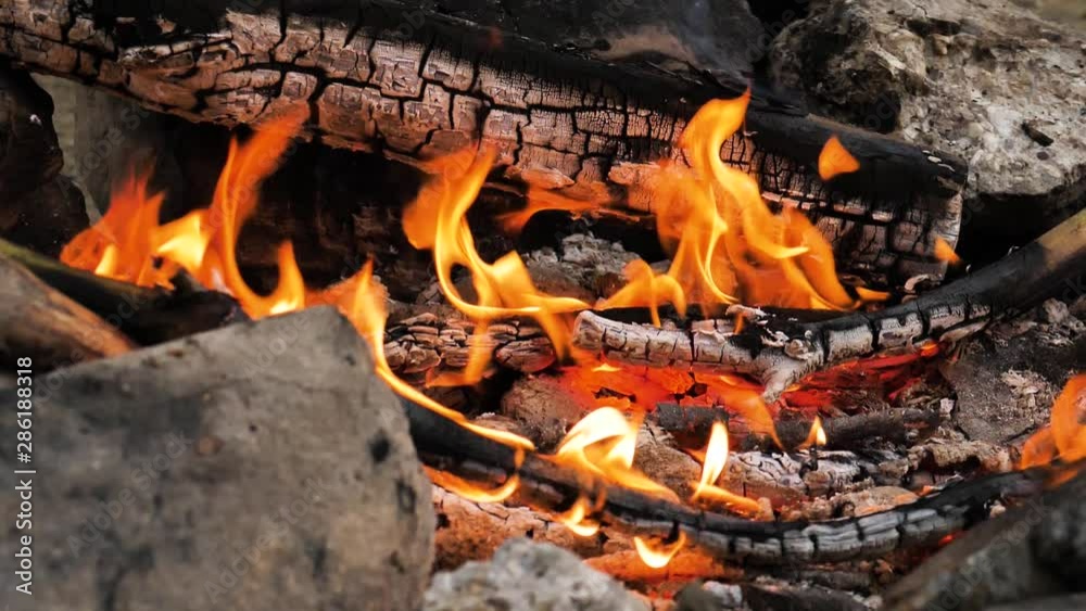 Flames of a campfire in slow motion Flames of a campfire in slow motion