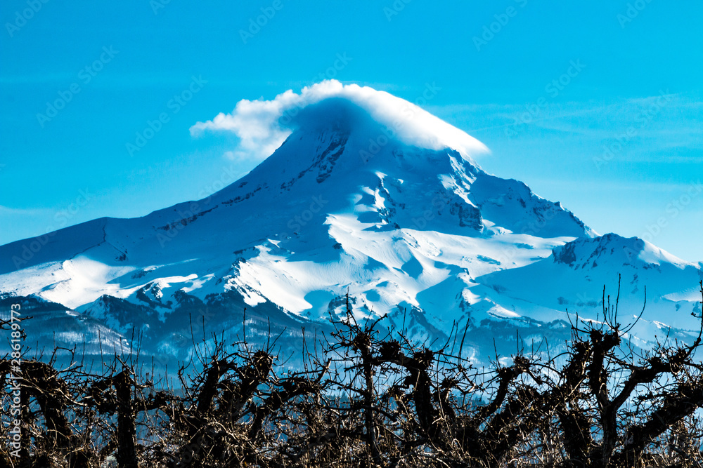 Obraz premium Mt. Hood