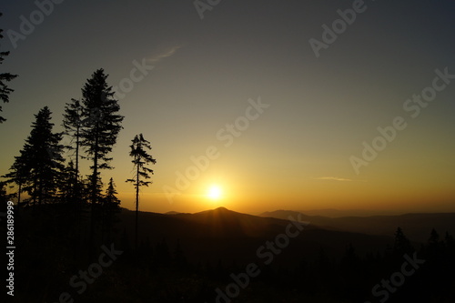 Sunset in the mountains in the forest with trees silhouette