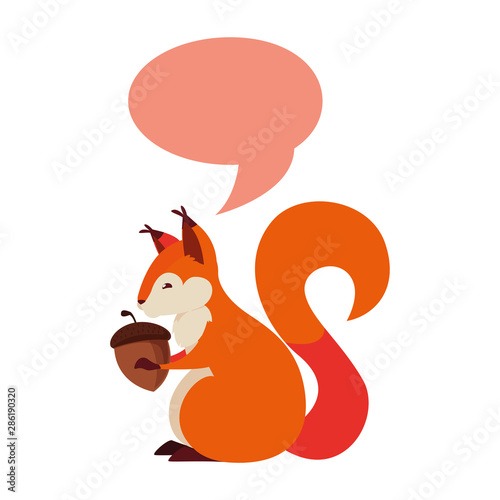 squirrel acorn happy autumn season flat design