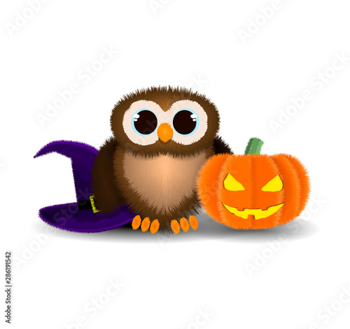 Halloween pattern, owl plush with hat and pumpkin on isolated background with shadow, vector illustration