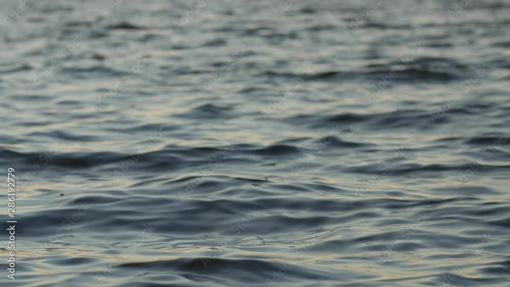 The peaceful water surface in a lake with small waves.Background footage, low depth of field. Real-time. Focus pulling. The peaceful water surface in a lake with small waves.Background footage, low depth of field. Real-time. Focus pulling.
