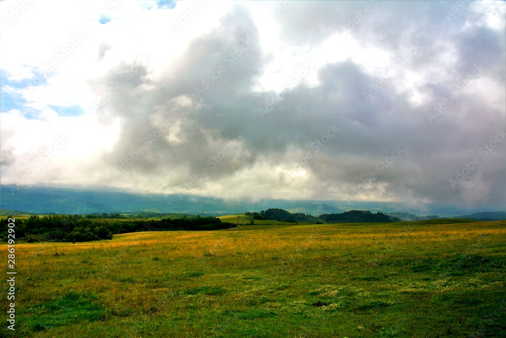 a field with grass and a cloudy sky