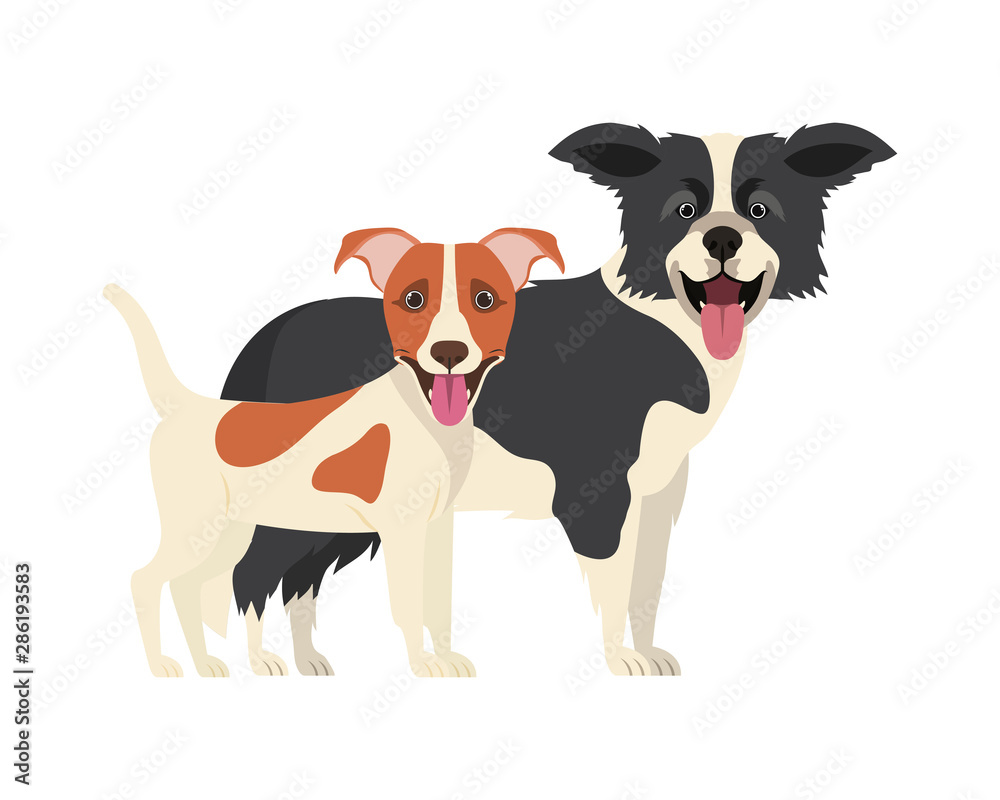 cute and adorable dogs on white background cute and adorable dogs on white background