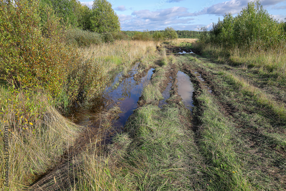 Fototapeta premium Deep ruts in the roads filled with water