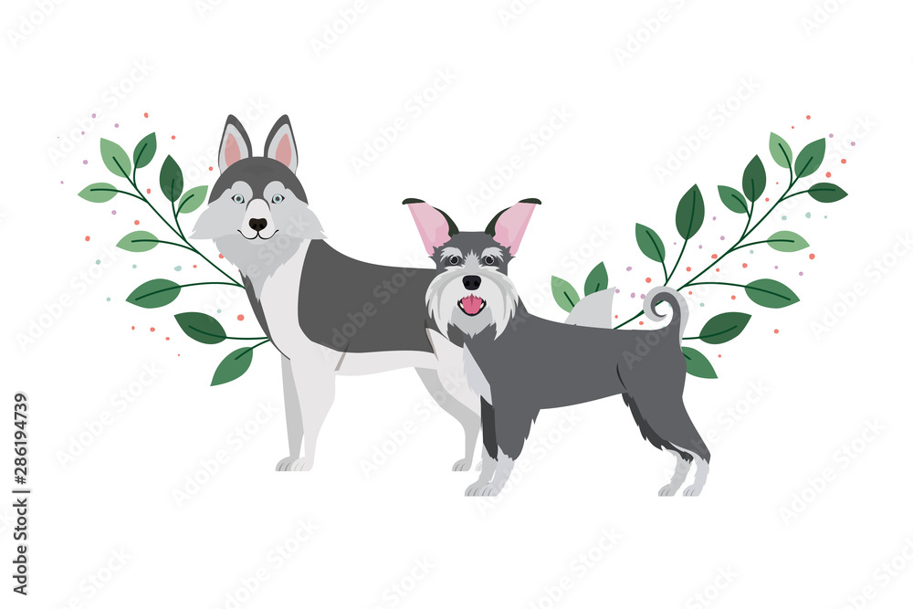 cute and adorable dogs on white background