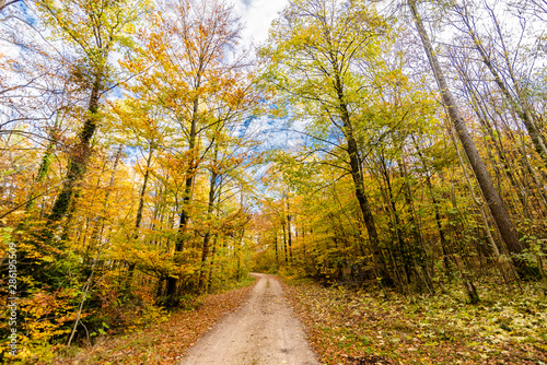 Autumnal nature with meadows and forests beautiful panorama calm day.