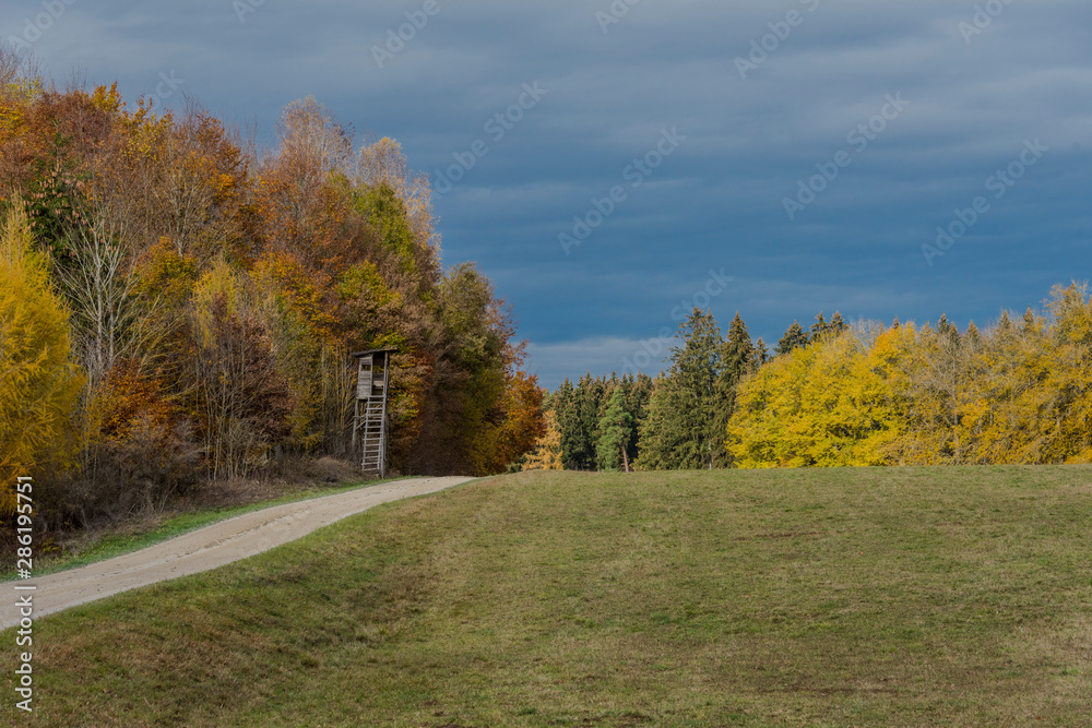 Autumnal nature with meadows and forests beautiful panorama calm day.