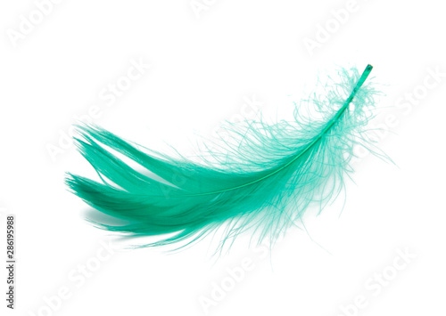 Green fluffy feather soft isolated on the white studio background
