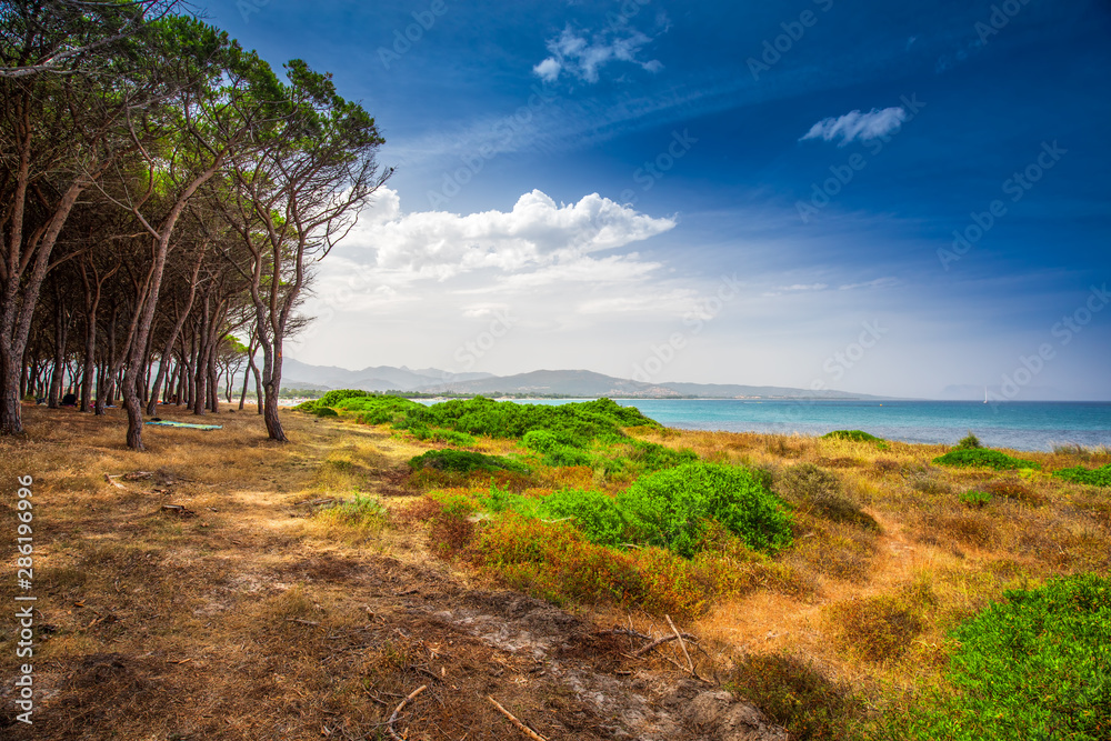 Budoni beach on Sardinia island, Sardinia, Italy, Europe. Budoni beach on Sardinia island, Sardinia, Italy, Europe.