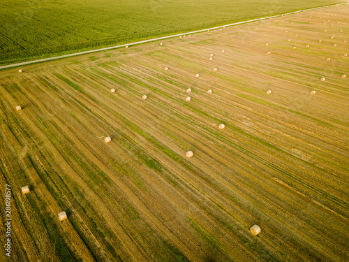 Agricultural field full of hay rolls during warm summer sunset. Aerial top down view.