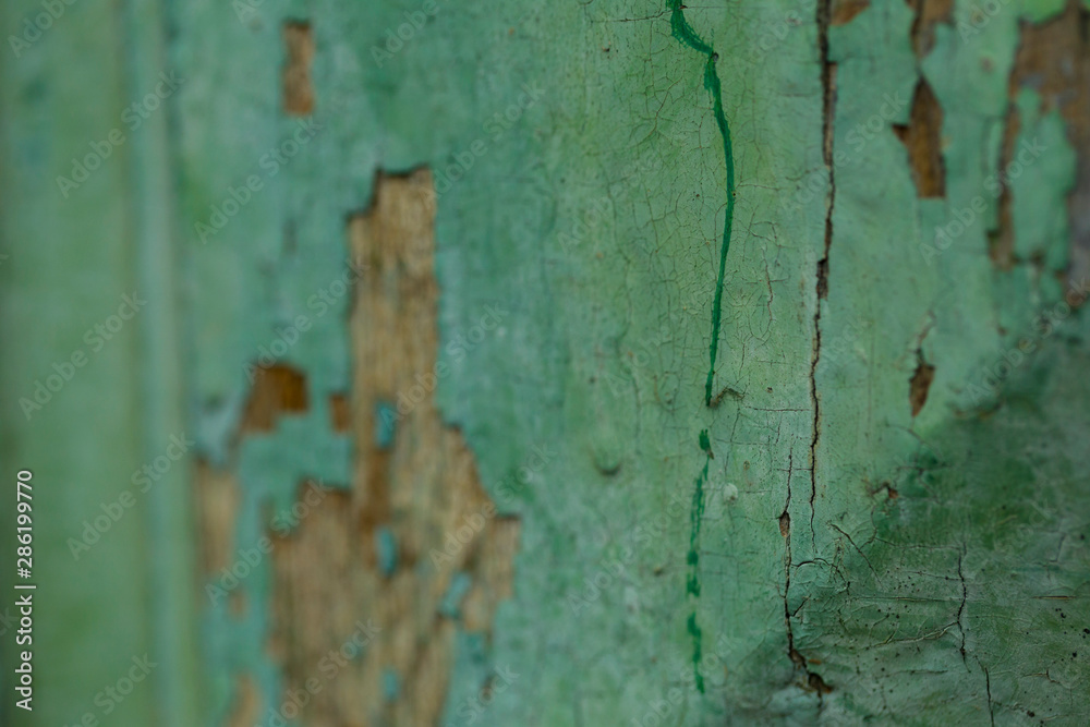Green painted old wood texture