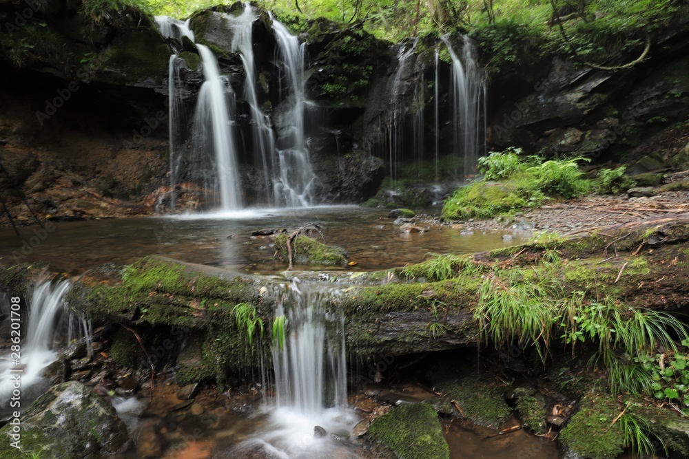 Obraz premium 猿壺の滝