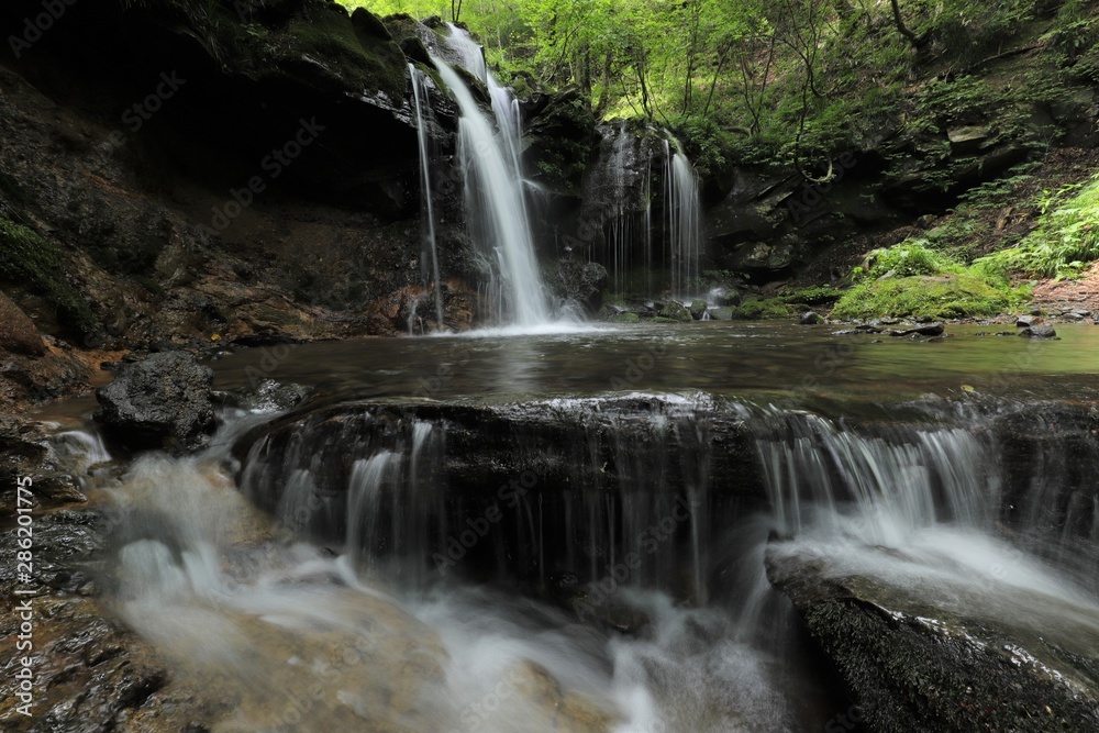 Obraz premium 猿壺の滝