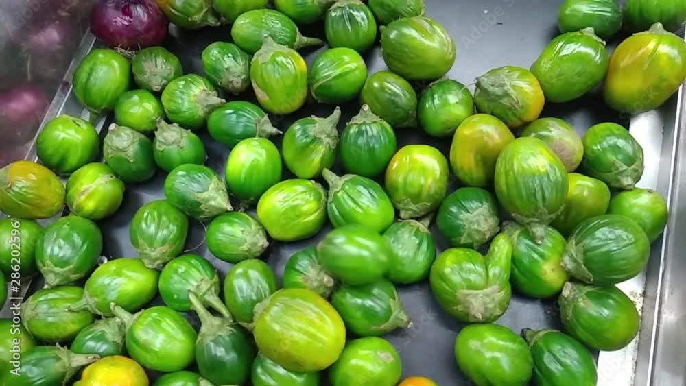 female hand choosing green jilo (Gilo Group) in supermarket female hand choosing green jilo (Gilo Group) in supermarket