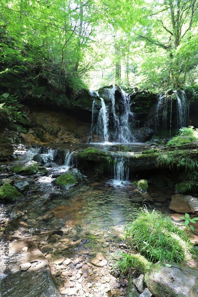 Naklejka premium 猿壺の滝