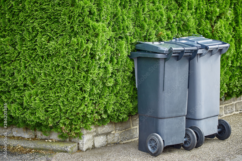 Plastic trash cans are standing on the pavement against a background of green bushes of a thuja on a sunny day. The concept of cleaning and cleanliness of the city Plastic trash cans are standing on the pavement against a background of green bushes of a thuja on a sunny day. The concept of cleaning and cleanliness of the city