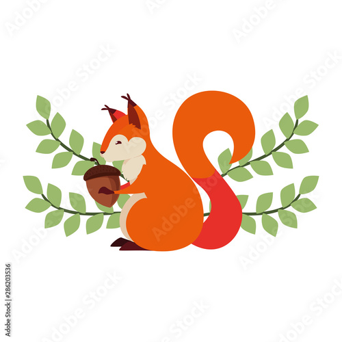 squirrel acorn happy autumn season flat design