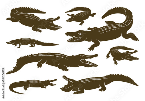 Set of Crocodile Logo Vector. Alligator emblem template Illustration photo