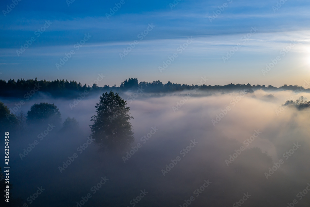 Aerial view of the forest, field and river covered with layers of thick morning fog